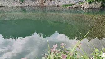 巔峰-洛霧三角洲行動(dòng)直播_巔峰-洛霧視頻直播 - 虎牙直播