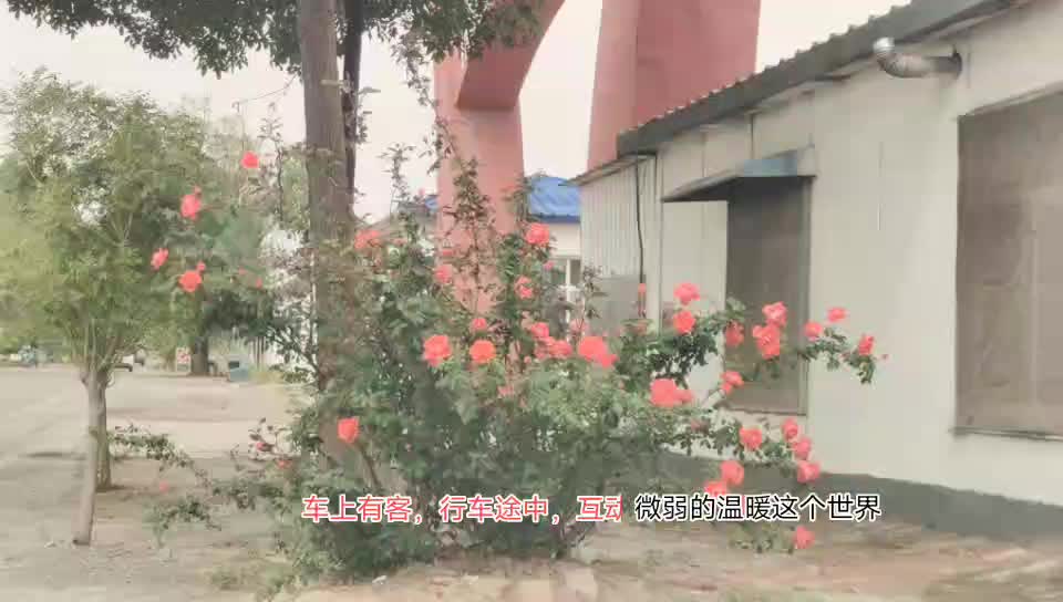 都来出来玩啊