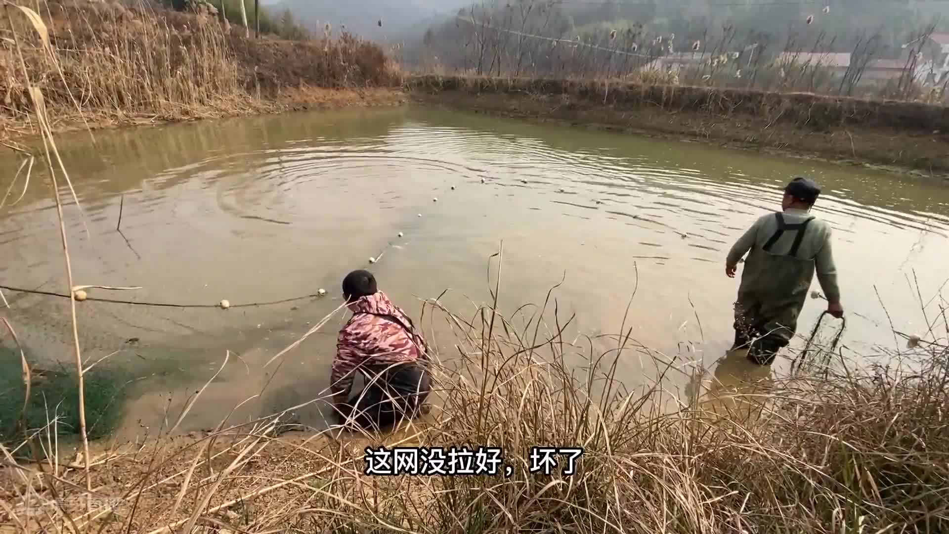 胖哥去水库放诱鱼桶，提起最后一个桶时哇哇大叫，到底捕了多少鱼