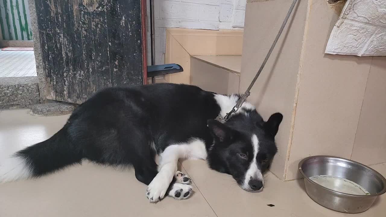 欢迎来到我的直播间