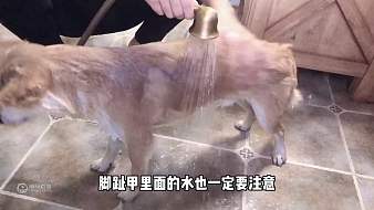 你的憨憨虎牙地方直播_你的憨憨視頻直播 - 虎牙直播