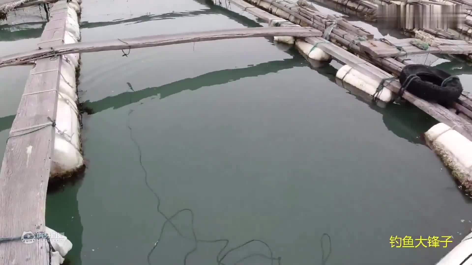 阿锋跟小黑一人一条船比赛钓鱼，看看今天的收获谁更厉害？