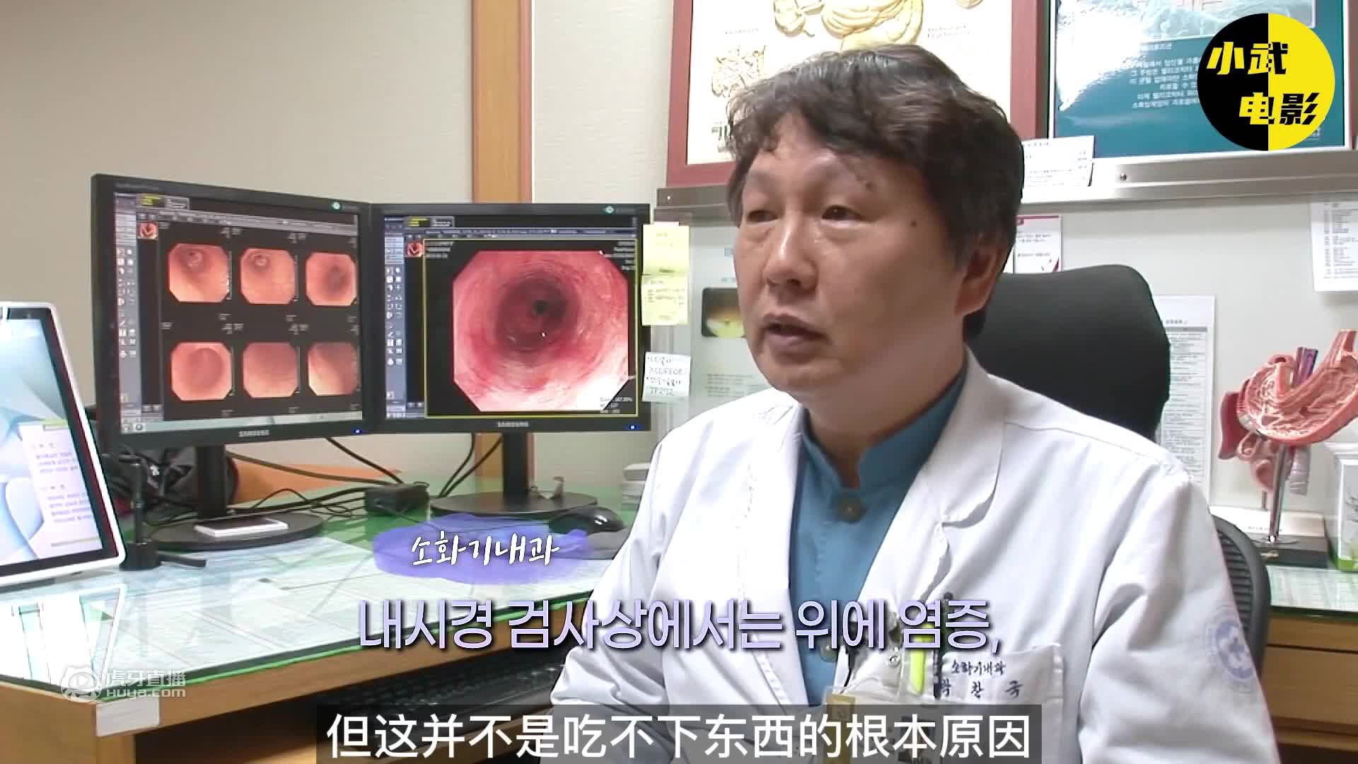 天才鹦鹉会缝纫，每天在服装厂里帮倒忙