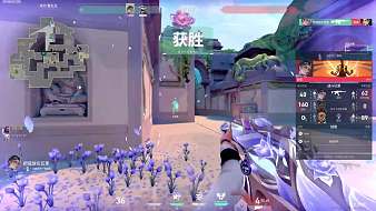 露珠開心豬無畏契約直播_露珠開心豬視頻直播 - 虎牙直播
