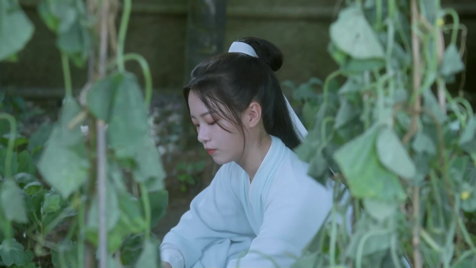 天不生我李淳罡，剑道万古如长夜
