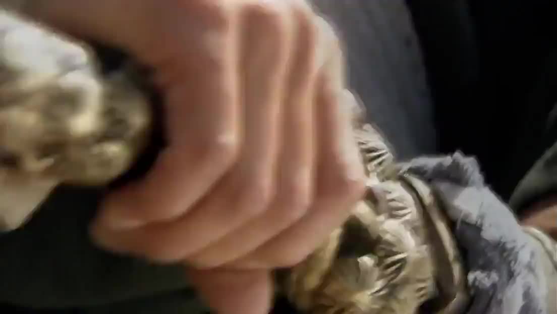 新水浒传·在下正是西公子！