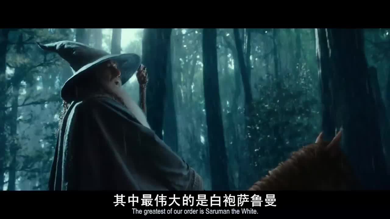 一梦中土 沉醉一生