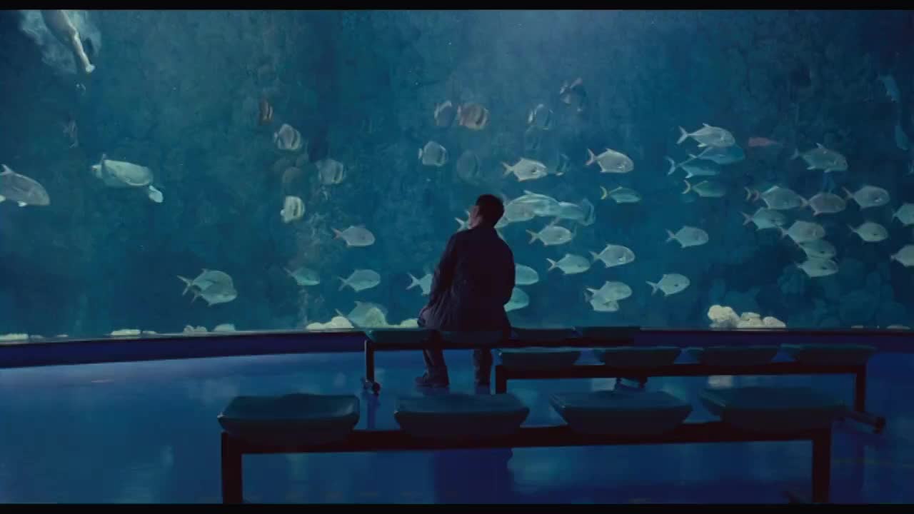 李连杰系列 武打高产王