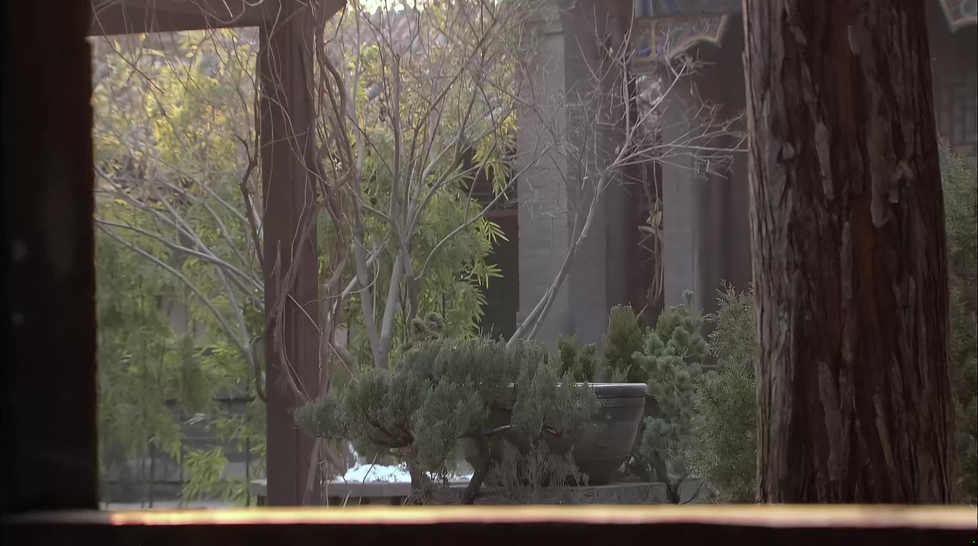 铁齿铜ya纪晓岚 经典铁三角组合