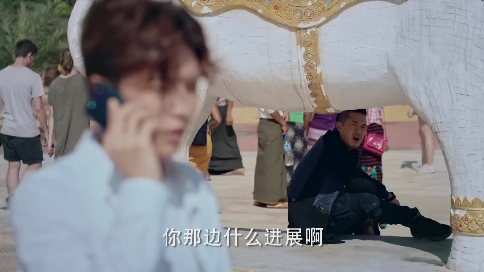 怒海潜沙 秦岭神树