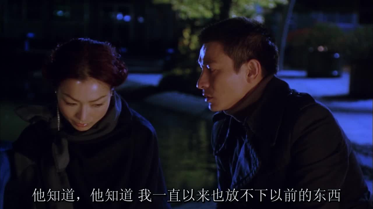 刘德华电影_经典系列