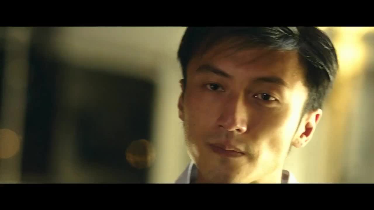 刘德华电影_经典系列