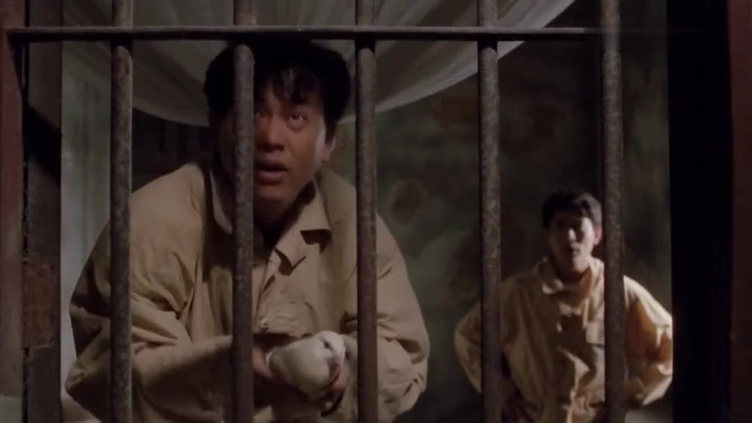 刘德华电影_经典系列