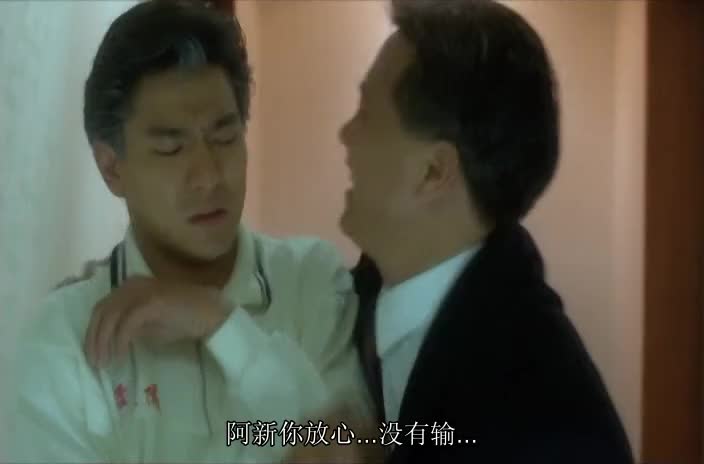 刘德华电影_经典系列