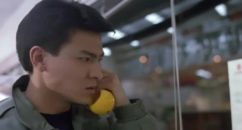 刘德华电影_经典系列