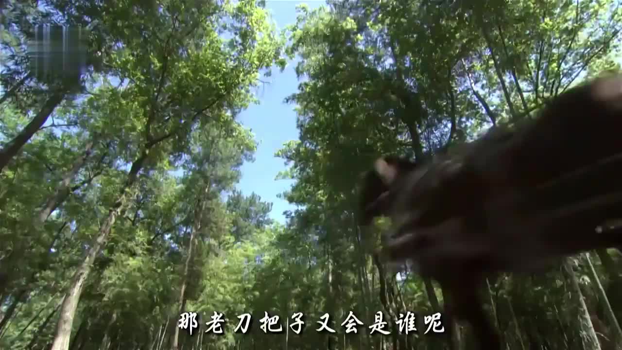 经典之作·陆小凤系列