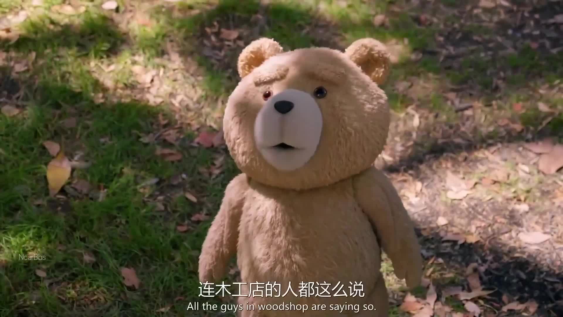 史上嘴最碎的熊！服了……