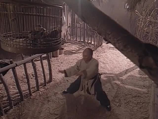 太极宗师 最是那回眸一笑