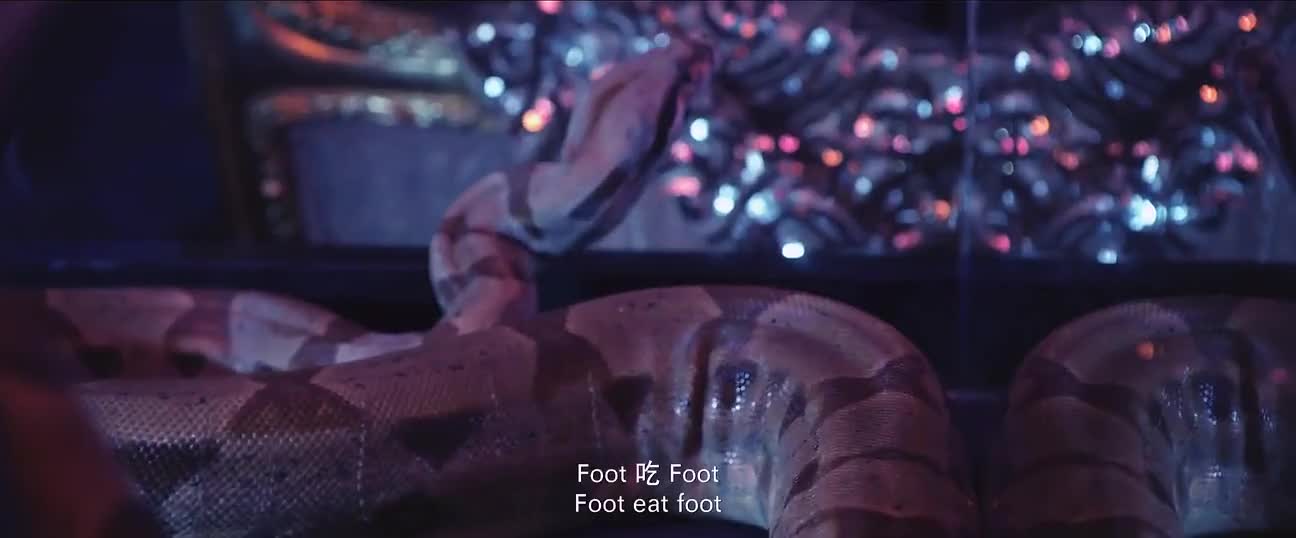 爆笑喜剧电影 热辣滚烫保你平安