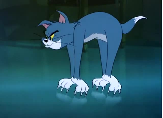 【猫和老鼠】汤姆和杰瑞的故事