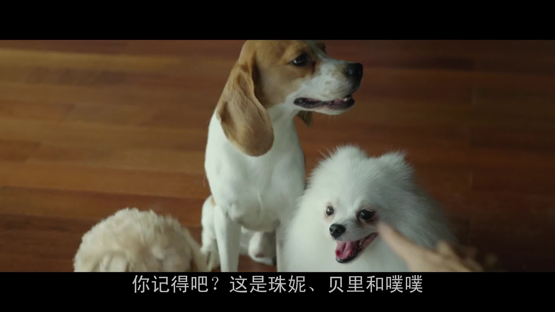 经典Han国高分电影
