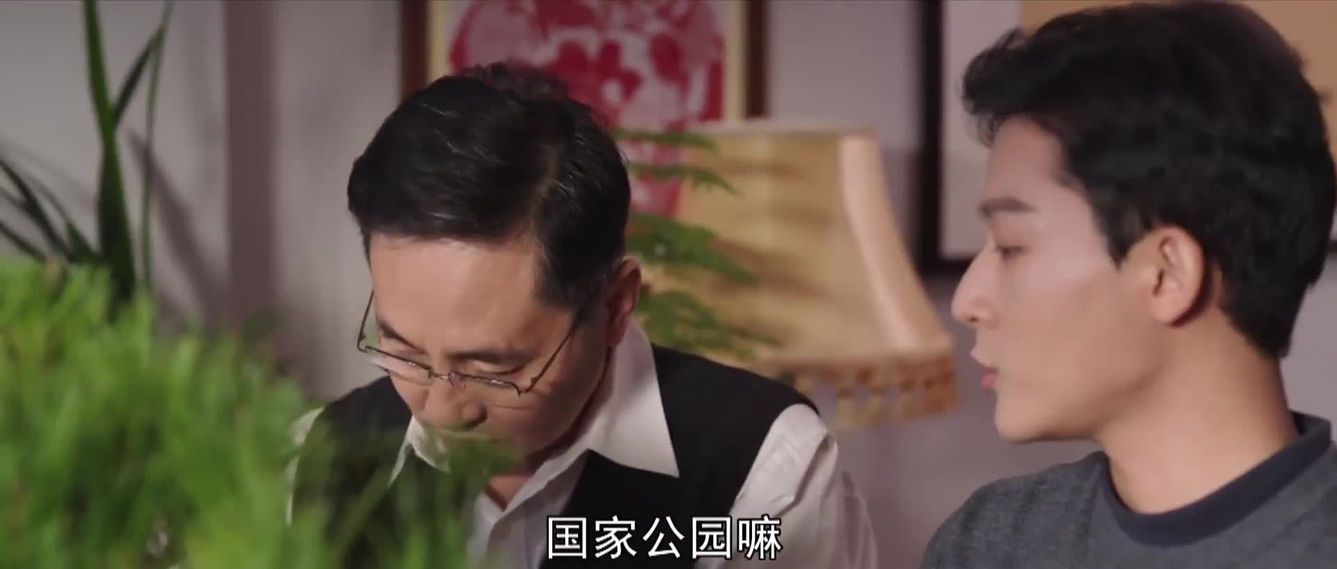 成年版《家有儿女》 好哭也好笑