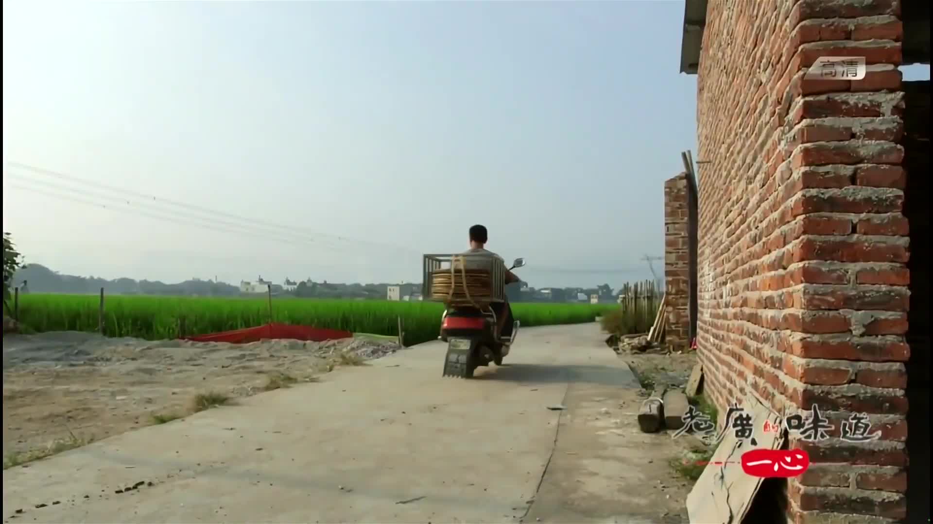 春节吃什么看这里！又好吃又好看