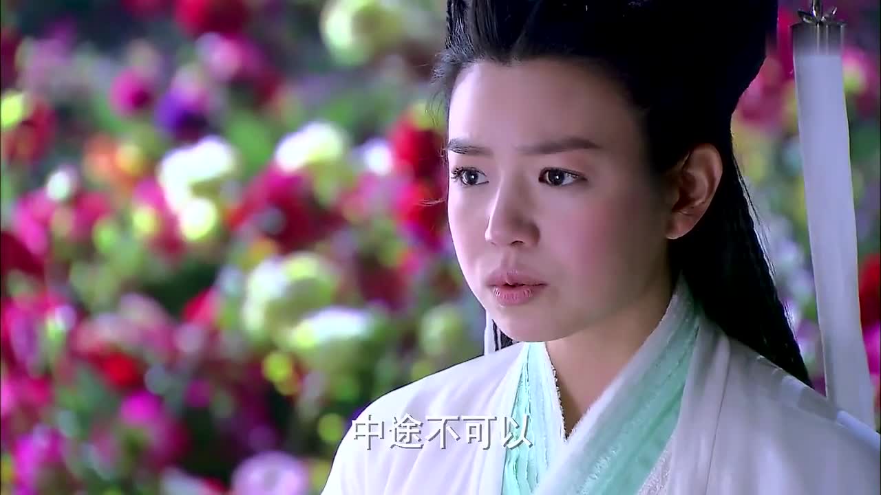 神貂侠侣·再看陈晓&陈妍希相识