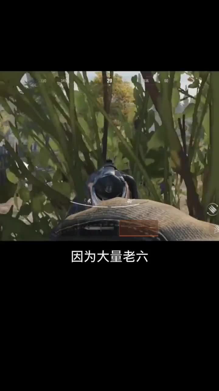 5月2号大灾变前夕