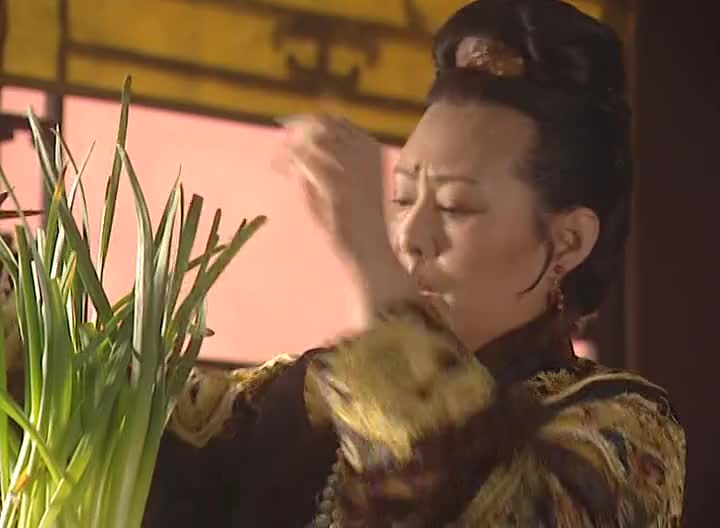 康熙大帝的传奇一生