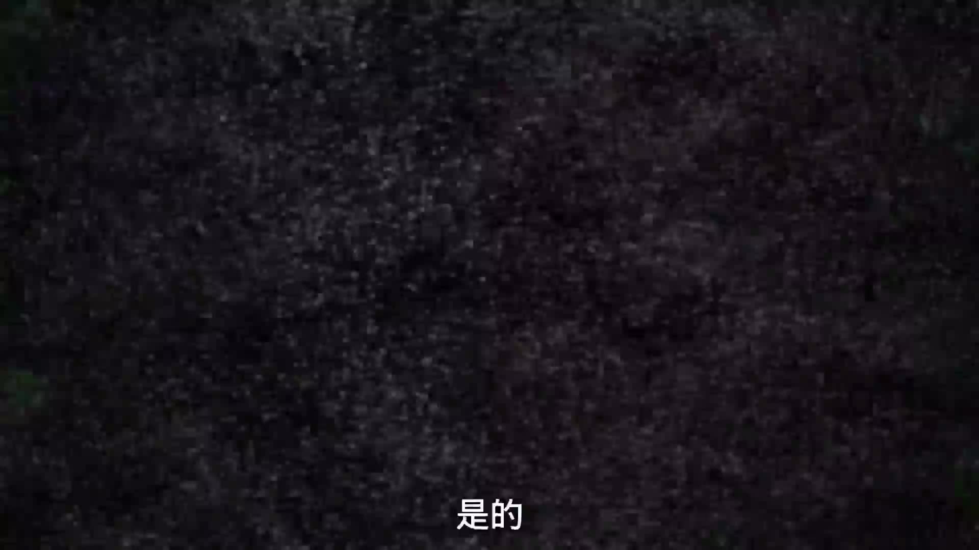 谁再说我是不可燃物？！