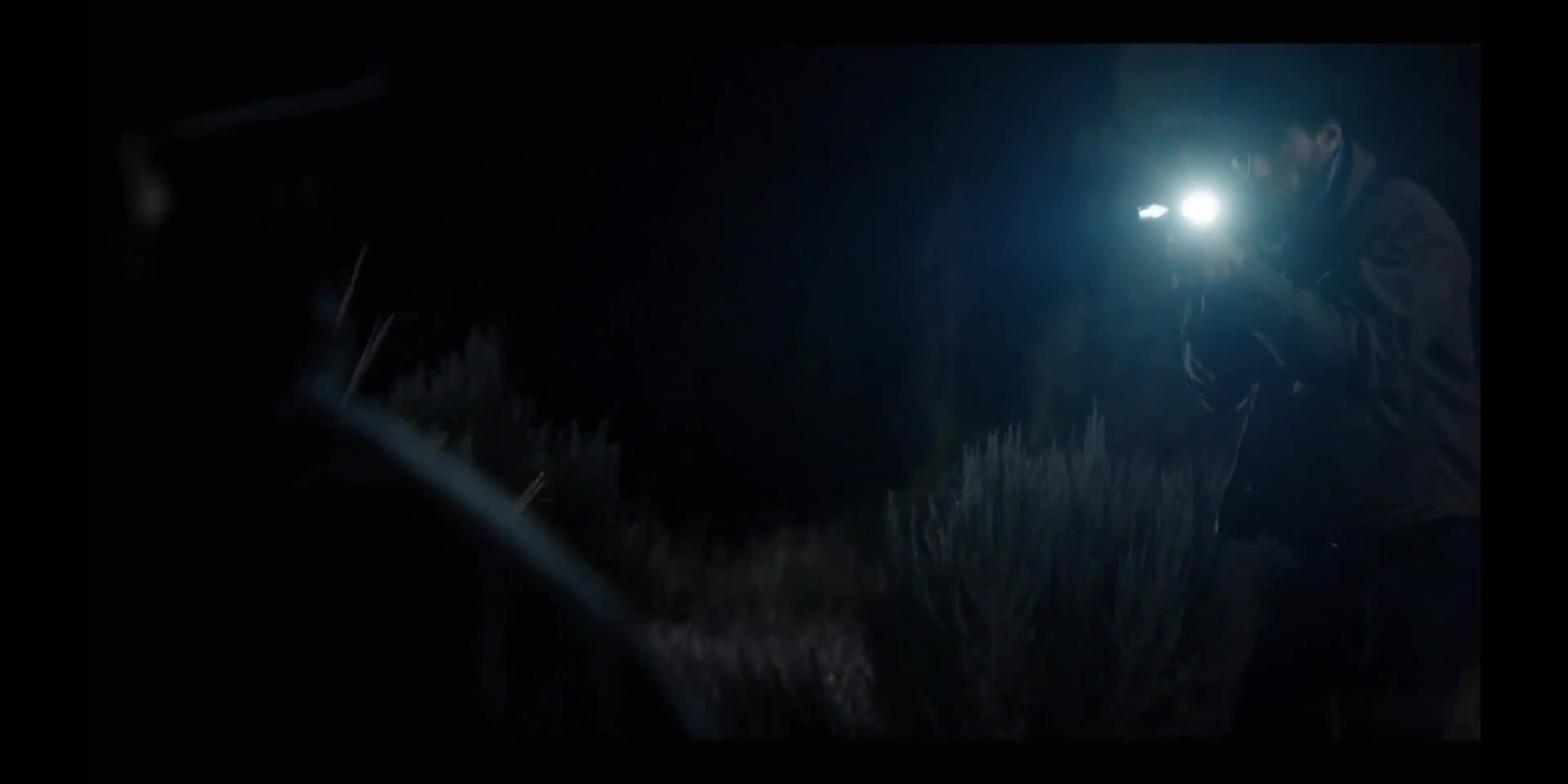 黄石 热情好客蒙大拿