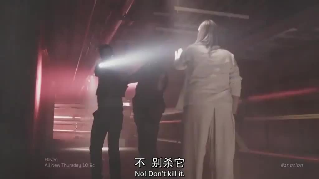 僵尸国度 B级片元素大爆
