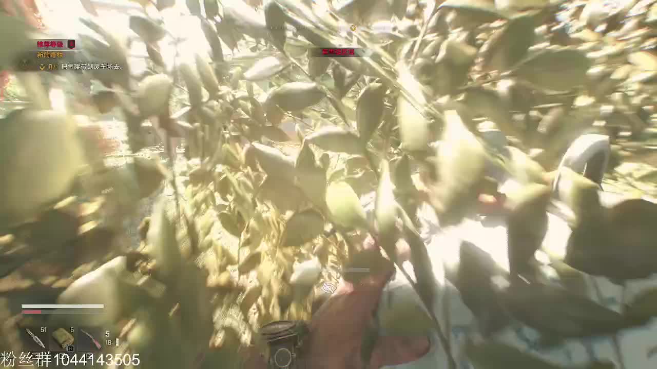 消逝的光芒困兽