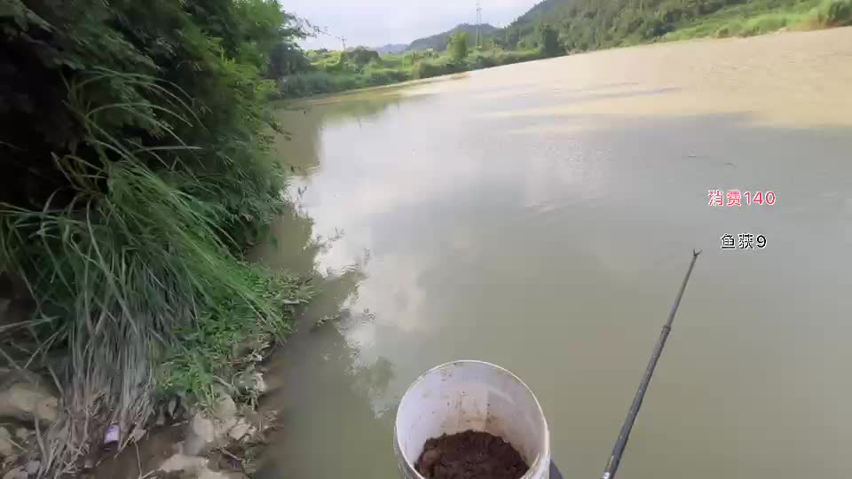 野钓进货卖米/鱼不吃我吃/钓鱼荒野探险