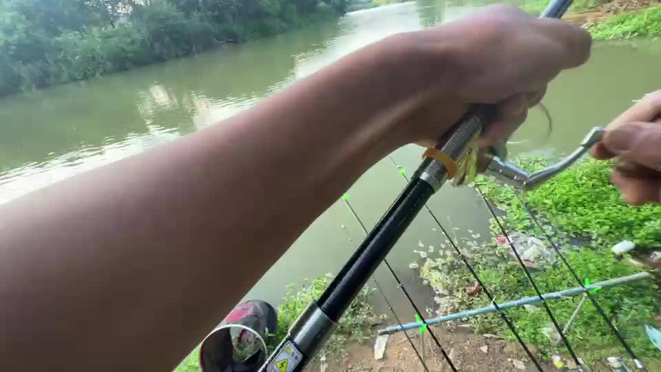 钓界秘技/钓鱼荒野探险