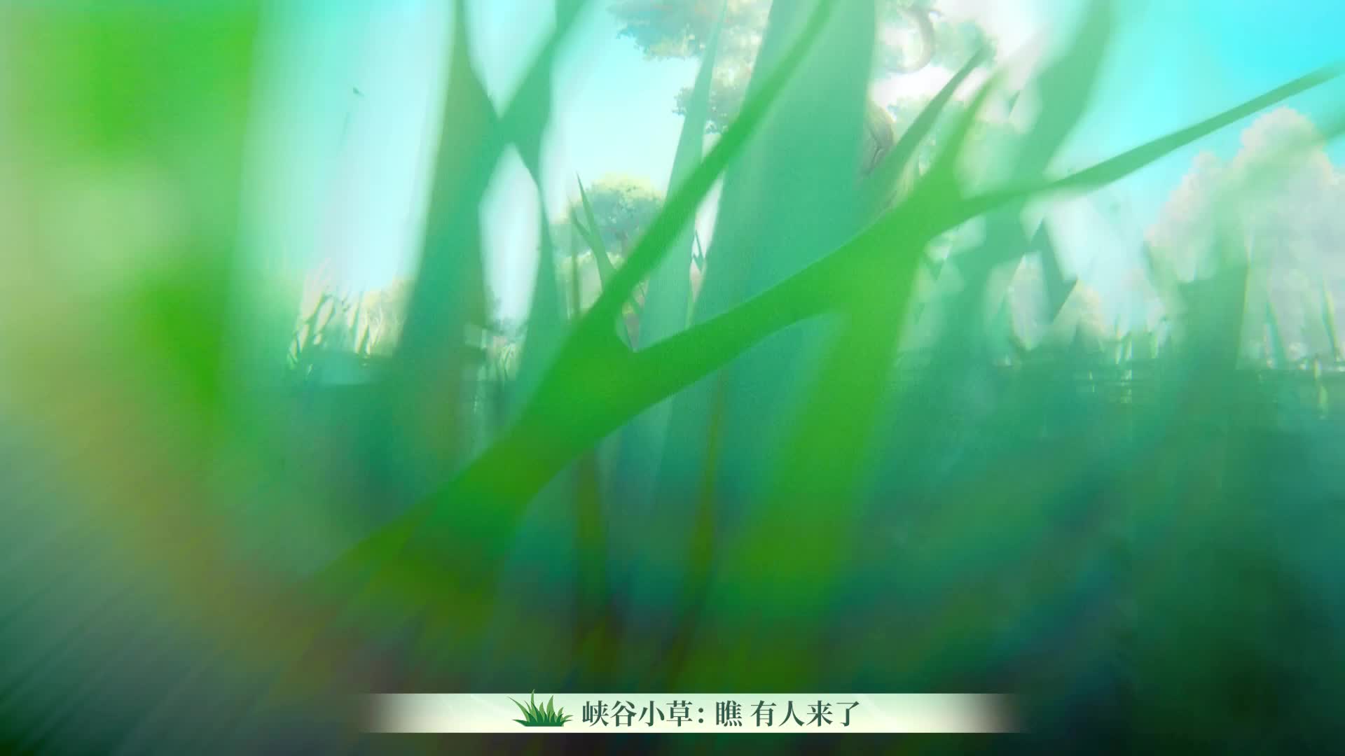 王者周年庆