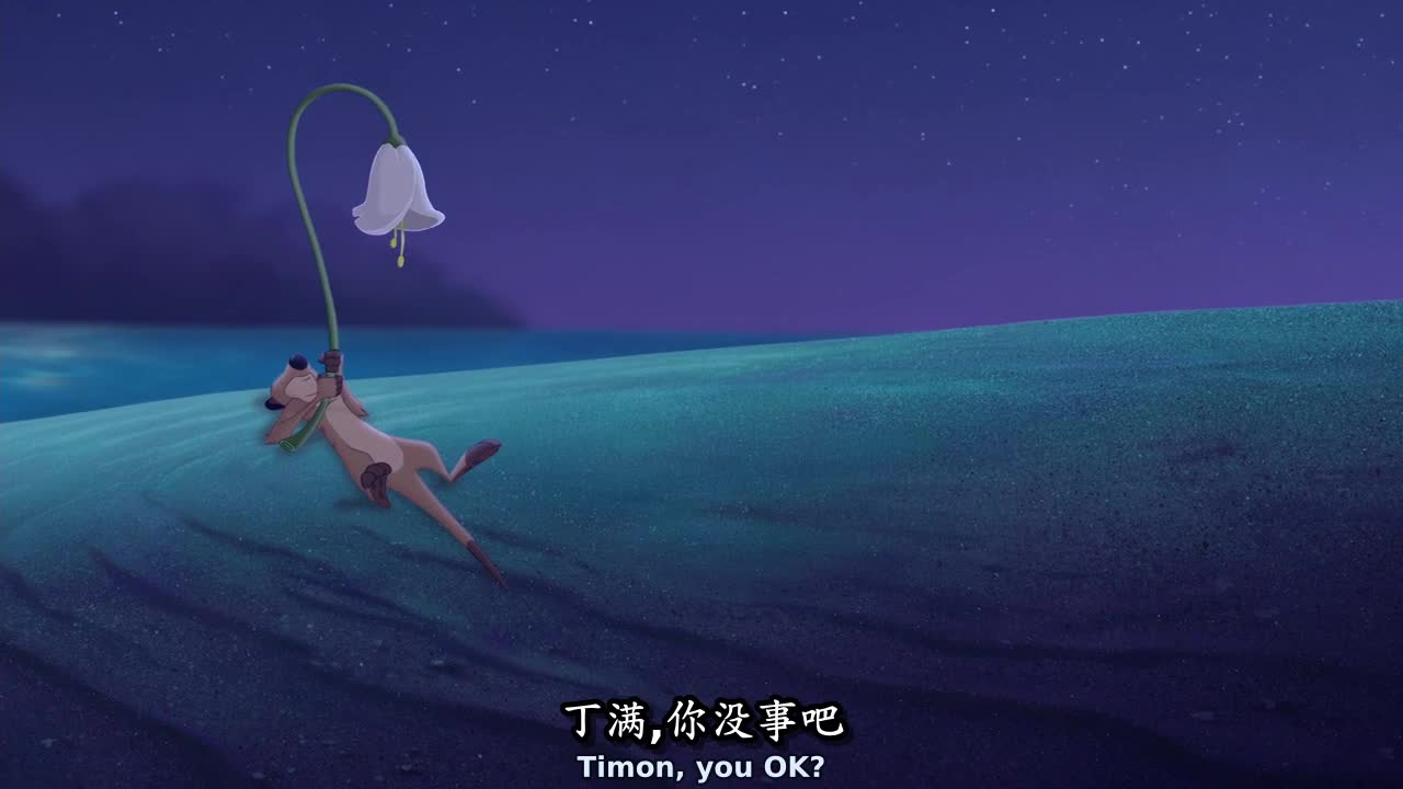 高级哺乳动物！迅速整齐行动力！