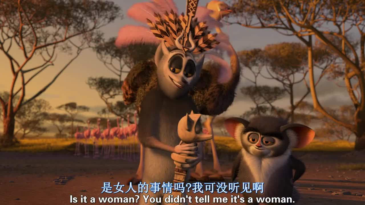 高级哺乳动物！迅速整齐行动力！