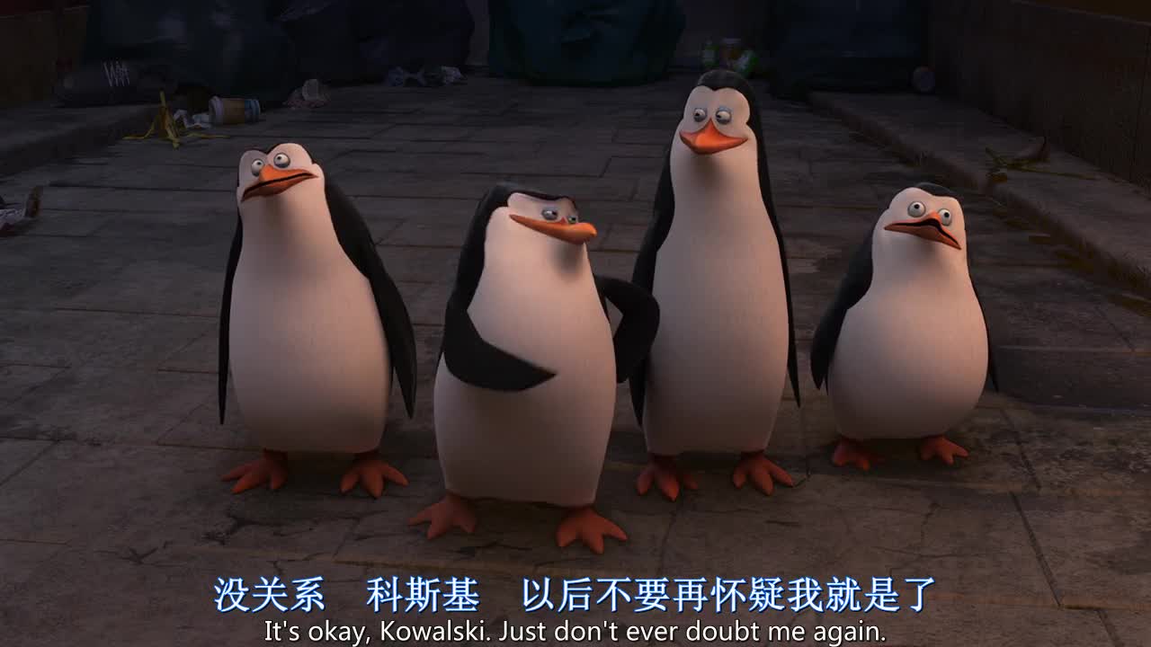 高级哺乳动物！迅速整齐行动力！