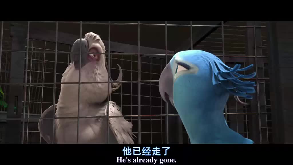 高级哺乳动物！迅速整齐行动力！