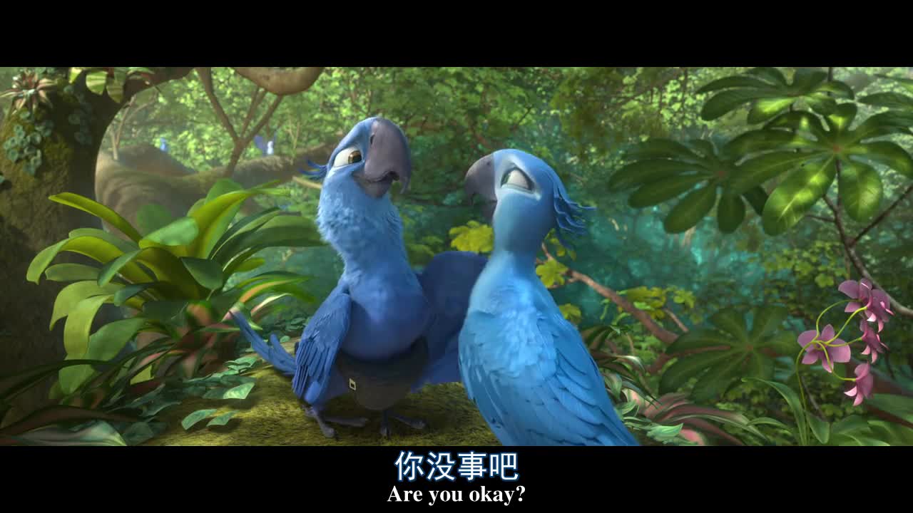 高级哺乳动物！迅速整齐行动力！