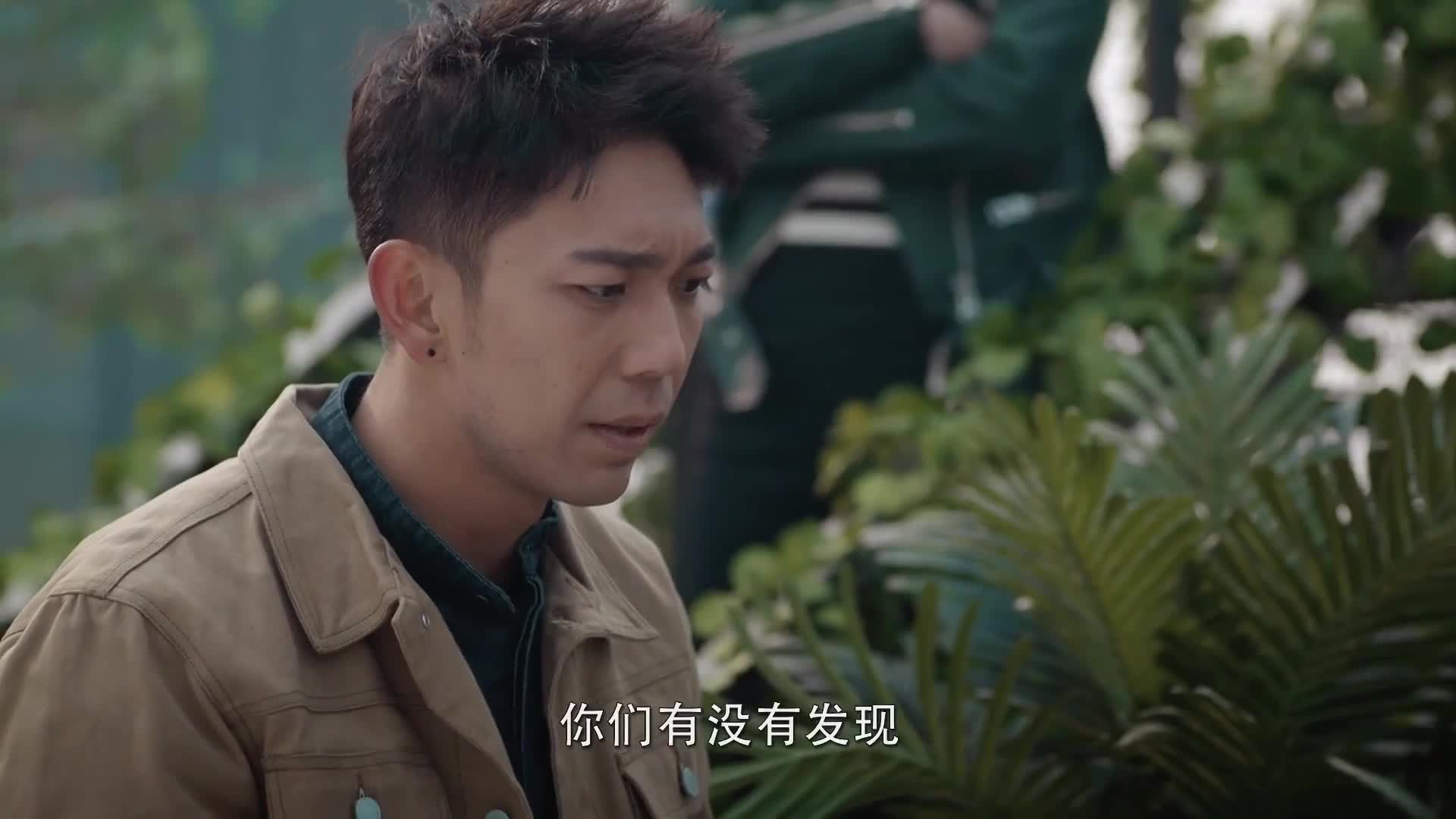 超强国产奇幻剧，石坚小龟大冒险