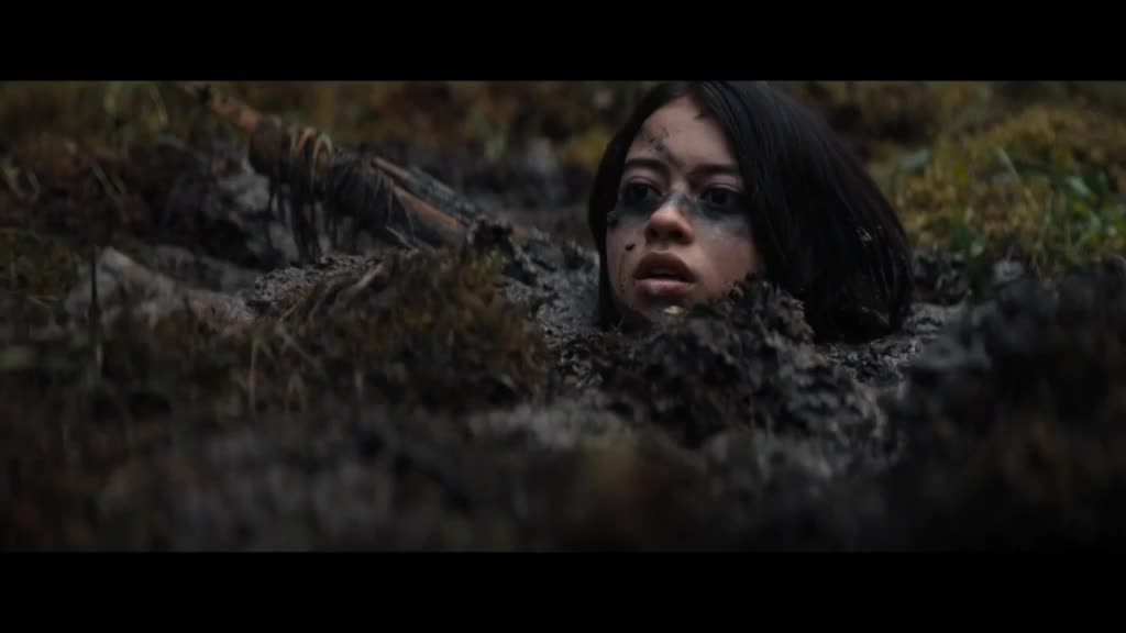 异形 VS 铁血战士