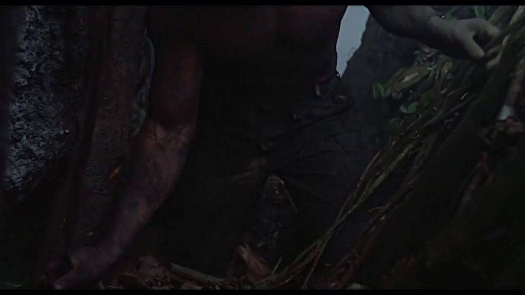 异形 VS 铁血战士