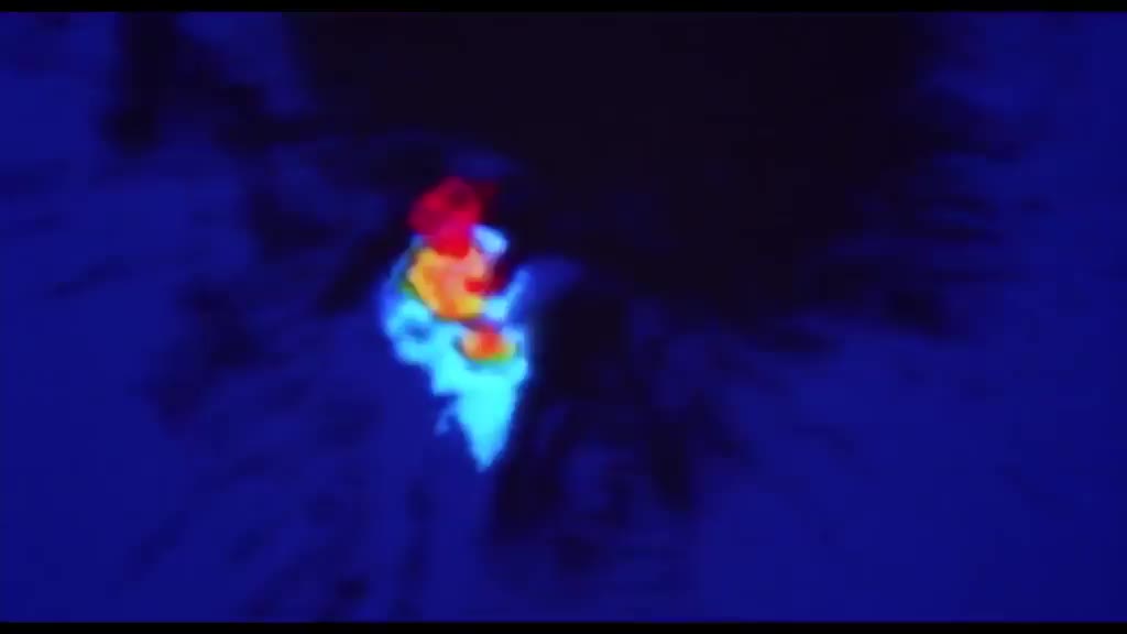 异形 VS 铁血战士