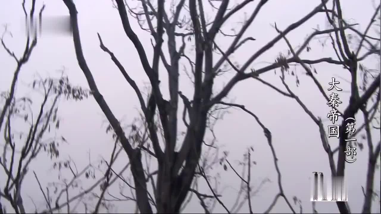 赳赳老秦 共赴国难