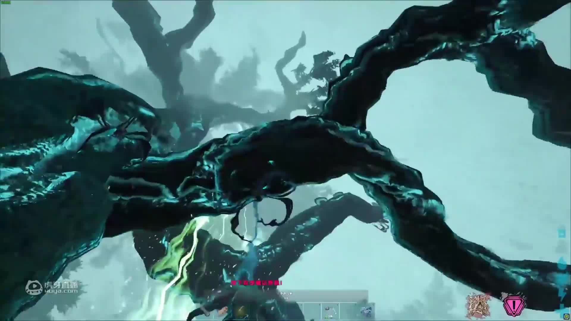 欢迎来到可乐不叫阔咯的直播间