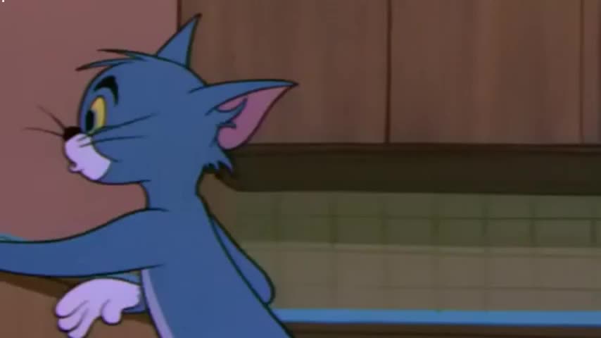【Tom jerry】 猫和老鼠