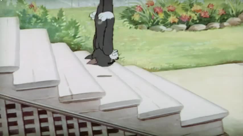 【童年经典】 猫和老鼠